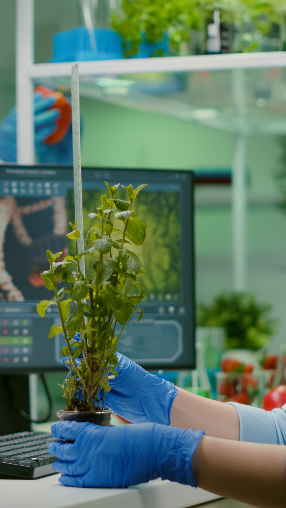 A plant held up in front of an AI diagnosis screen